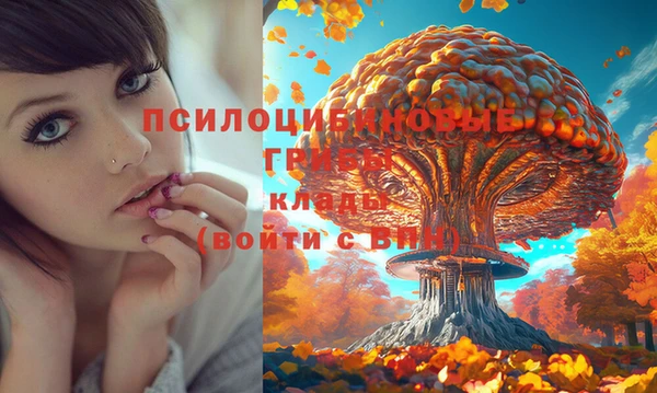 синтетический гашиш Навашино