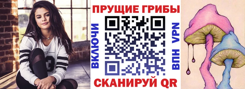 Галлюциногенные грибы мухоморы  Новосиль 